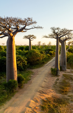 Madagascar